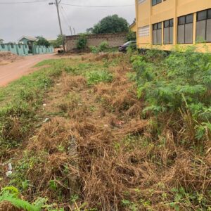 WhatsApp Image 2025-10-17 at 14.19.38 (5)